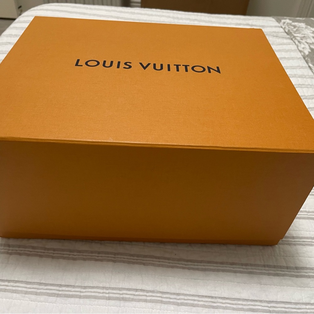 Louis Vuitton Large Box